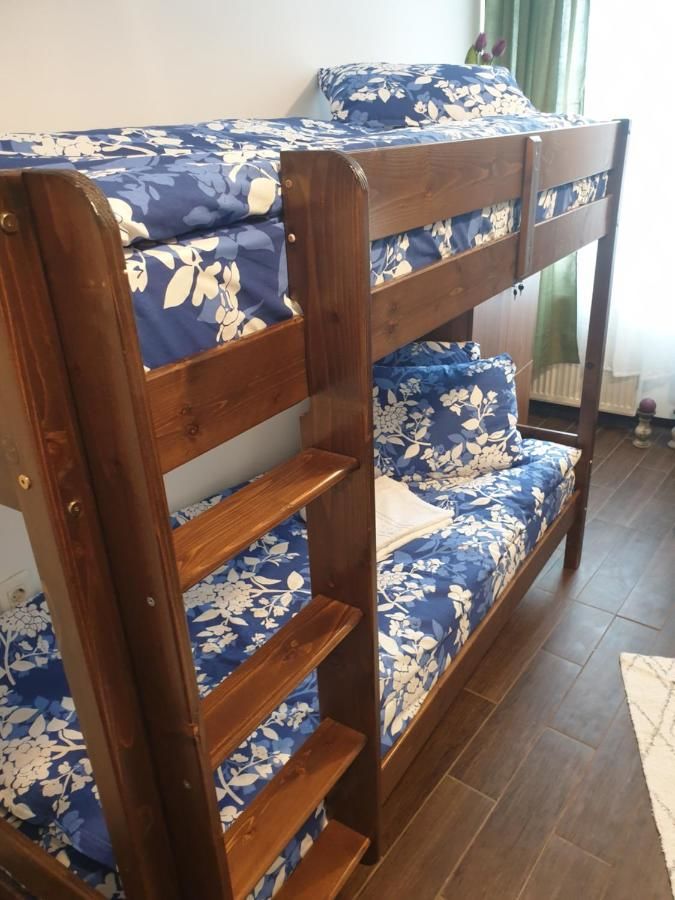 Хостелы Vintage Downtown Hostel Брашов