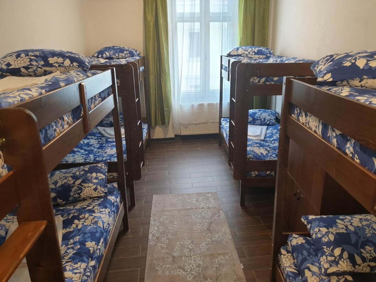 Хостелы Vintage Downtown Hostel Брашов