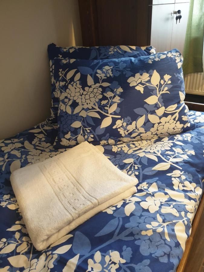 Хостелы Vintage Downtown Hostel Брашов