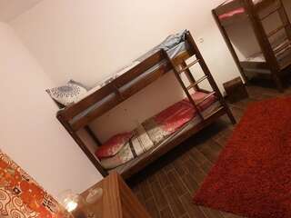 Хостелы Vintage Downtown Hostel Брашов Общий номер для женщин с 6 кроватями-5