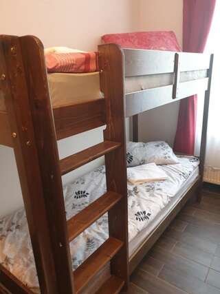 Хостелы Vintage Downtown Hostel Брашов Общий номер для женщин с 6 кроватями-3