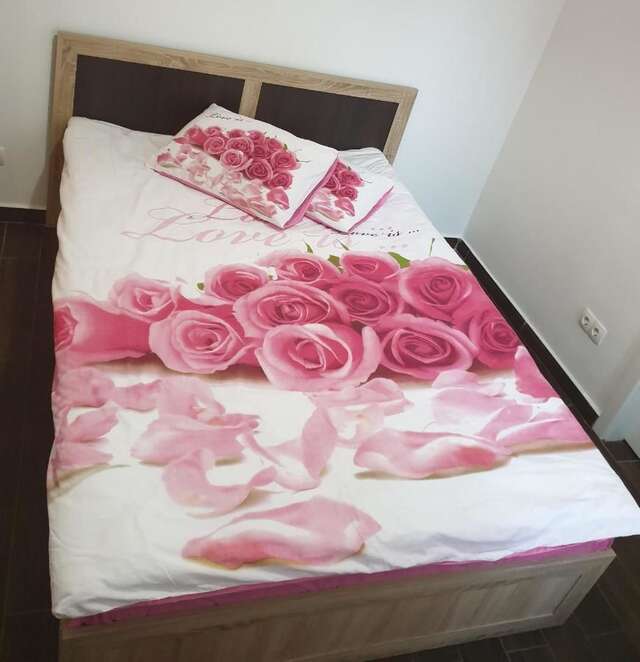 Хостелы Vintage Downtown Hostel Брашов-3