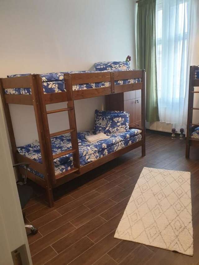 Хостелы Vintage Downtown Hostel Брашов-14