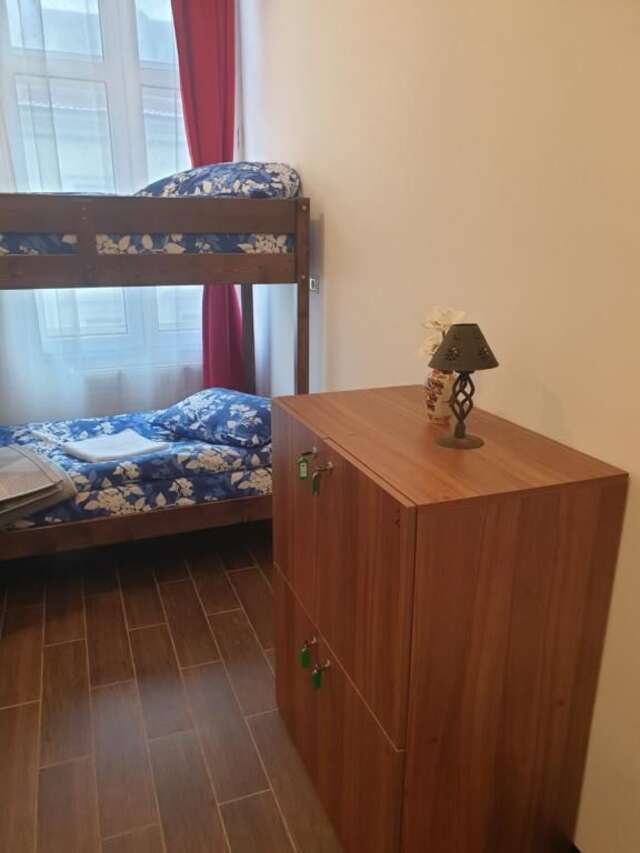 Хостелы Vintage Downtown Hostel Брашов-22