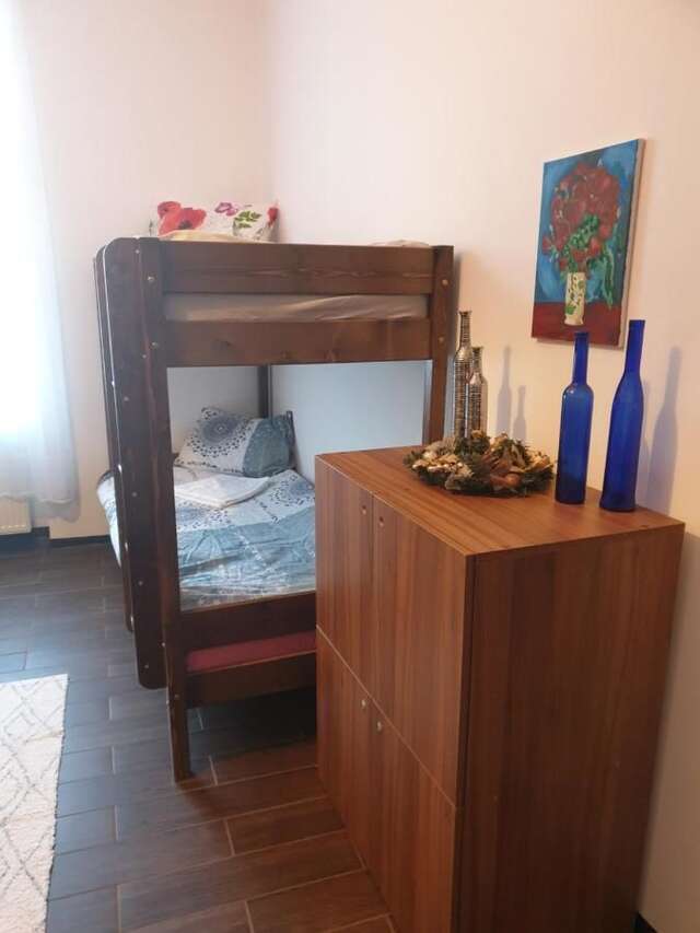 Хостелы Vintage Downtown Hostel Брашов-8
