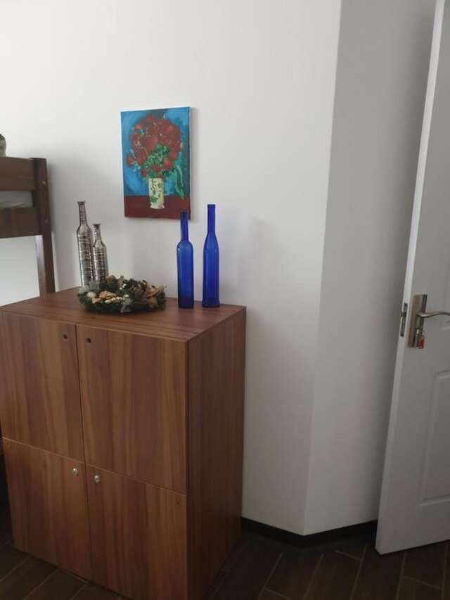 Хостелы Vintage Downtown Hostel Брашов-10